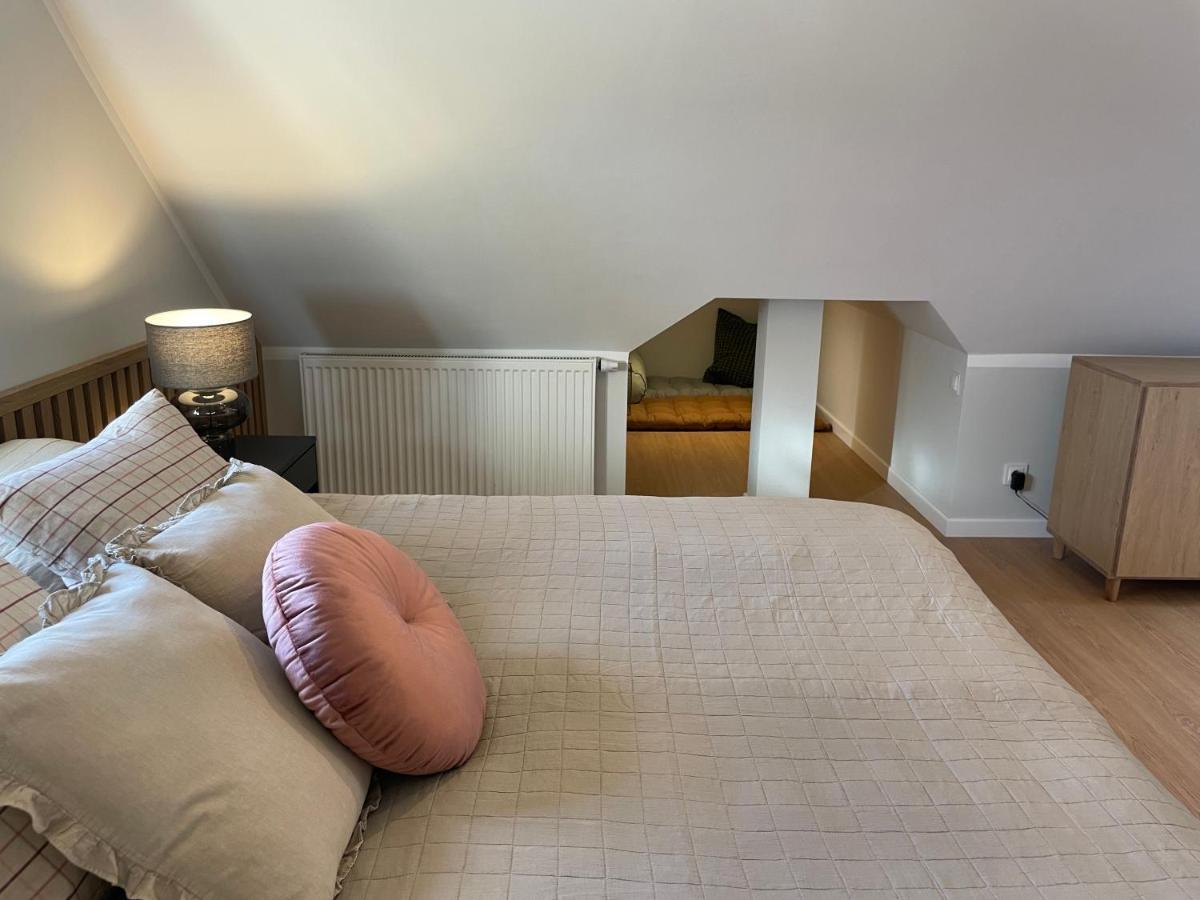 Paproc I Malina - 300 Metrow Do Centrum Apartmán